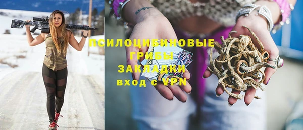 сатива Навашино