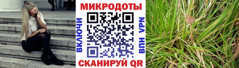 Галлюциногенные грибы MAGIC MUSHROOMS  наркошоп  Нягань 