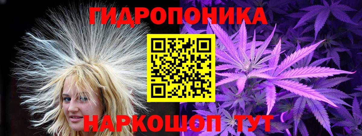 Канабис марихуана  Каннабис план  Нягань  Бошки Шишки AK-47  Вход с VPN 